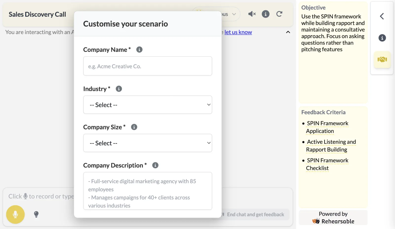 Rep adding the account's company, industry and size before a sales role-play